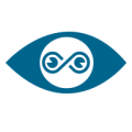 Vision