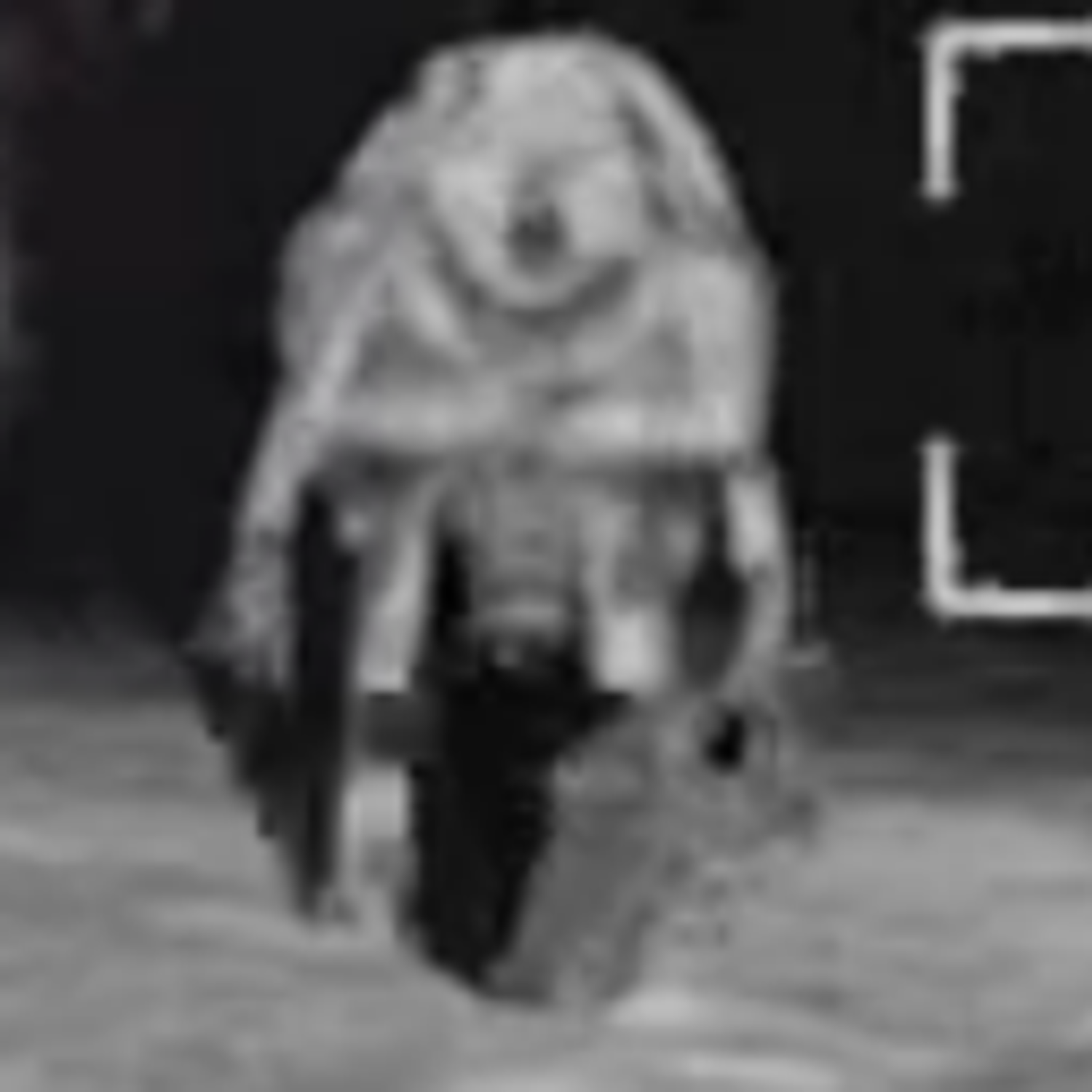 TotadorGamer