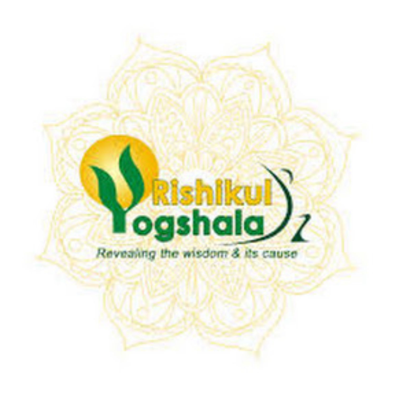 Rishikul Yogshala Rishikesh