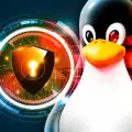 gojoweb
