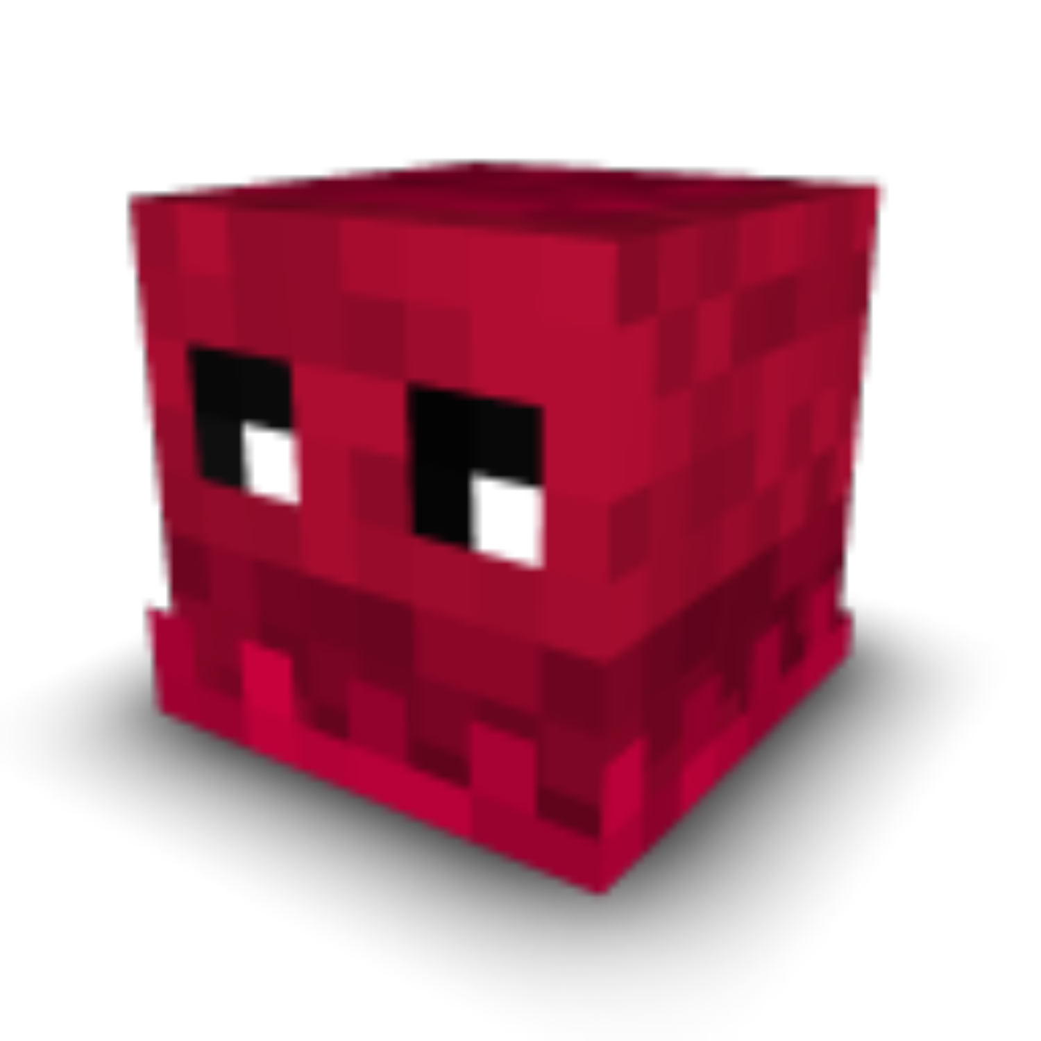 Sunglocto
