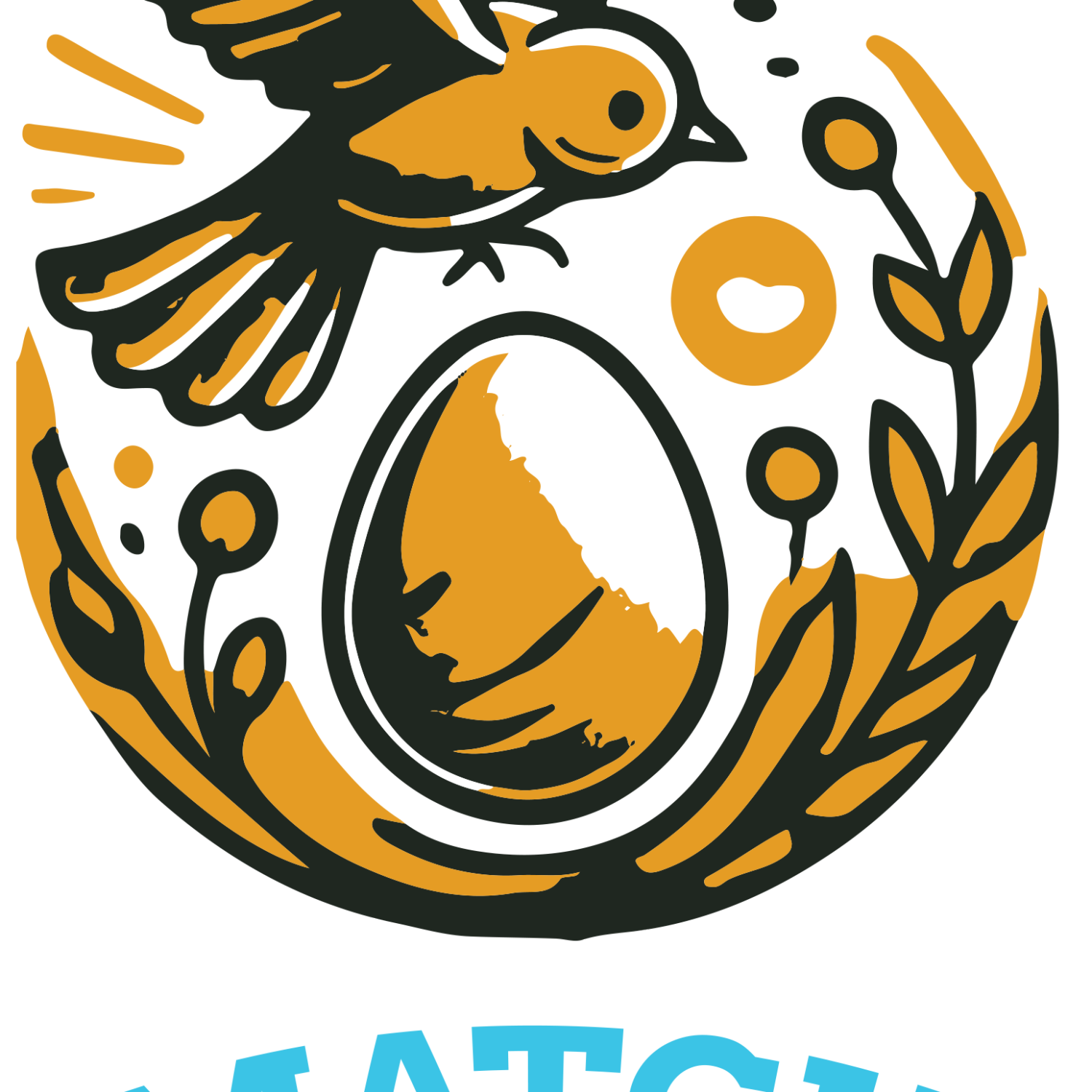 Match & Hatch