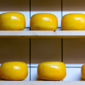 Cheese