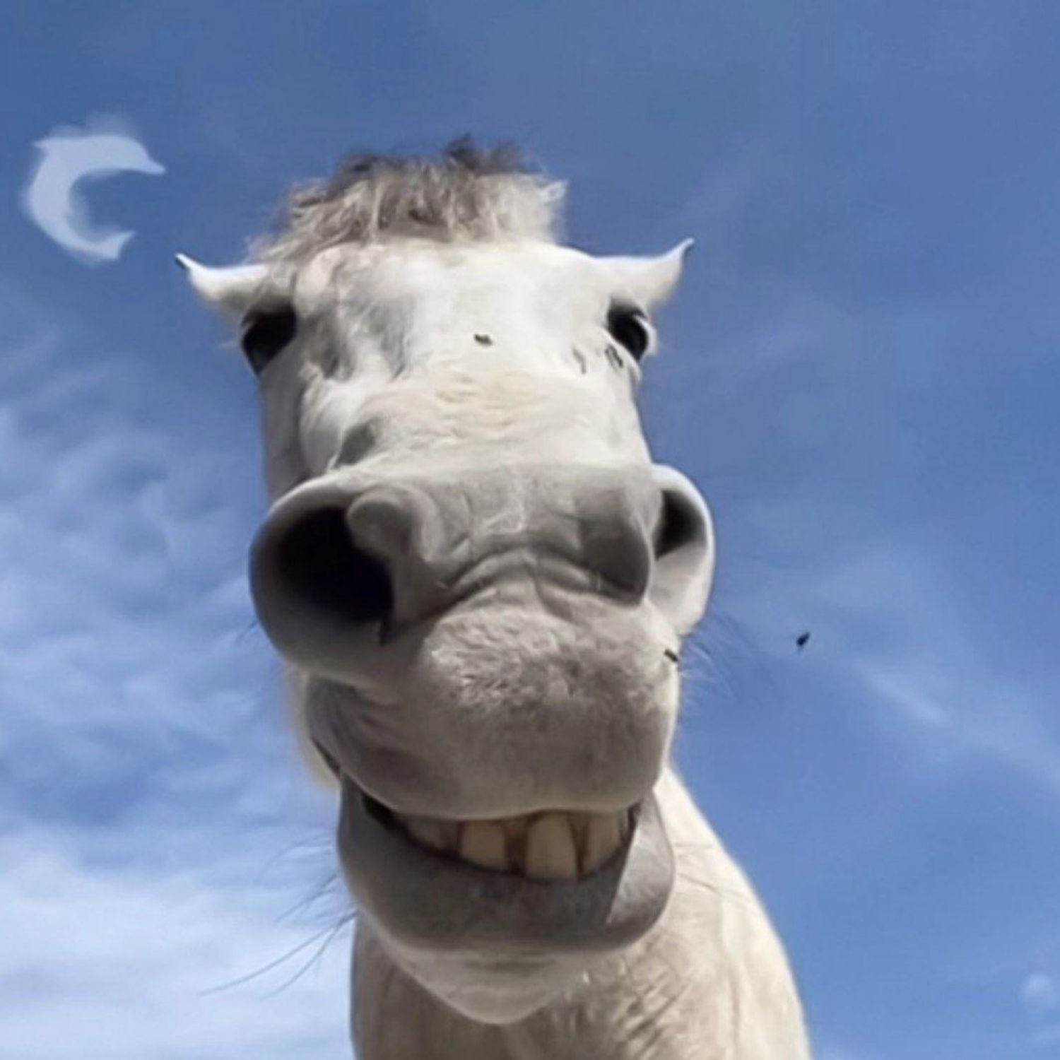Mashykooo4