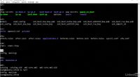 64. Découvrir le remplacement par globbing dans bash