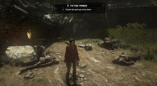 Rise of the Tomb Raider DX12 Graphical Glitch through Proton