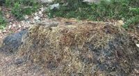 Construction d'une pile de compost