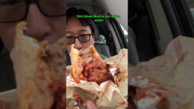 $5.50 meatball sandwich at Novis in Berwyn IL