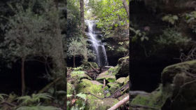 Horseshoe Falls, Hazelbrook AU