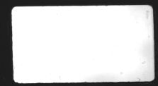 1990 год, Выпускной 10Б класса 599 средней школы. 