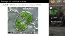 TS - Vie fixée et nutrition des plantes