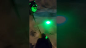 Nighlasertime, again! #doggo #finnishlapphund #suomenlapinkoira