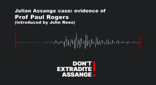 Prof Paul Rogers Witness Statement