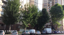Présentation du quartier