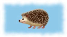 Another Visit by Large Female Hedgehog (still seeing the infrared flicker)
