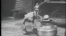 It's A Bird (1930)