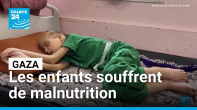 Gaza : un quart des enfants de moins de 5 ans souffrent de malnutrition • FRANCE 24