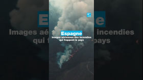 Espagne : images aériennes des incendies qui frappent le centre-ouest du pays • FRANCE 24