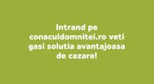 Optiuni avantajoase de cazare in Voronet - Bucovina