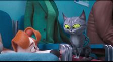 Bande-annonce de Comme des bêtes 2