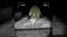8.webm