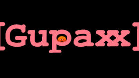 Gupaxx development v1.11.0 Part 3