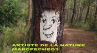 Artiste de la nature marcpecheo3
