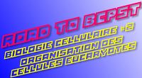 Road to BCPST - Biologie Cellulaire #2 - Organisation des cellules Eucaryotes