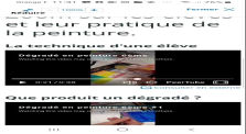 Présentation : ENT et capsule vidéo de gestes