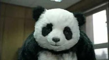 Never Say No to Panda - Office
