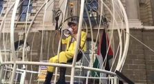 the Canary in the cage