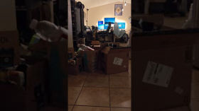 Is Menko the Cat Recyclable?