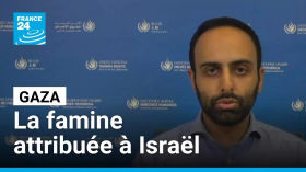 Famine à Gaza : l’ONU met en cause les actions du gouvernement israélien • FRANCE 24