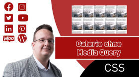 Galerie ohne Media Query erstellen nur mit CSS Display Grid (Nur CSS & HTML) [Anleitung / Tutorial]