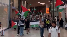 Manifestation à Utrecht, aux Pays-Bas, pour exprimer leur solidarité avec le peuple de Gaza