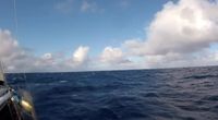 Triman 2. la Transatlantique