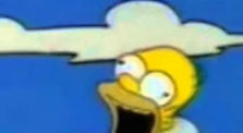 Homer Simpson.avi