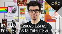 Les Licences Libres : entrez dans la Culture du Remix - 03 - Pair-à-Pair