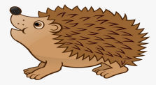 Male Hedgehog  Nightly Rummage Behind the Water Butt