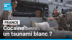 1,1 million de consommateurs de cocaïne en 2023 : un tsunami blanc en France ? • FRANCE 24