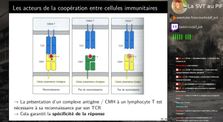PG SVT - 18 mars 2020 - Coopérations cellulaires
