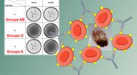 Tuto #1 - Agglutination en 2.1