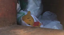 I'm sorry Pooh