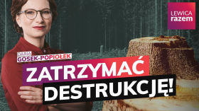 Brońmy lasów przed PiS-owską siekierą!