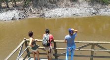 Paseo en Isla Salamanca