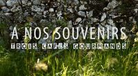 Trois Cafés Gourmands - À nos souvenirs [Clip officiel]