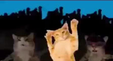 cat jam (FLASHING LIGHTS)