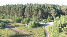 ЧКА_2021_Немножко лошадей