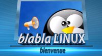Emmabuntüs : Raisons de l'utilisation de la base Debian