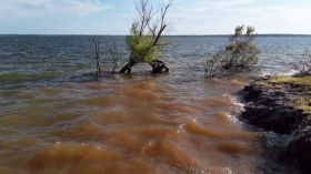 Waves at Lake Whitney State Park, TX 2025-07-22